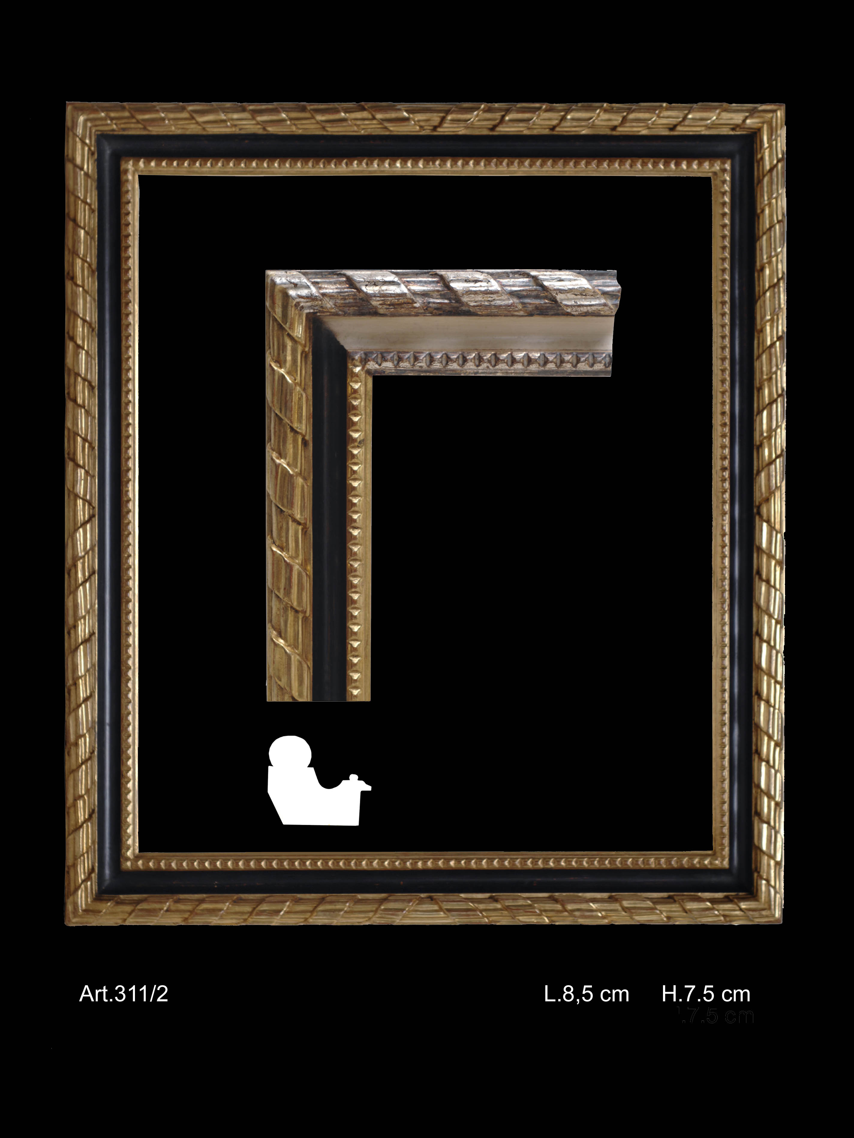 Immagine articolo n. 311/2